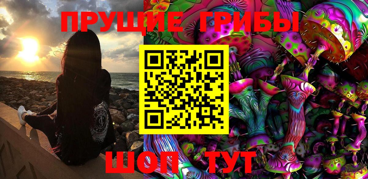 Галлюциногенные грибы Psilocybe Черняховск
